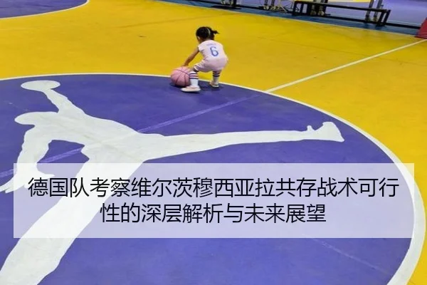 德国队考察维尔茨穆西亚拉共存战术可行性的深层解析与未来展望